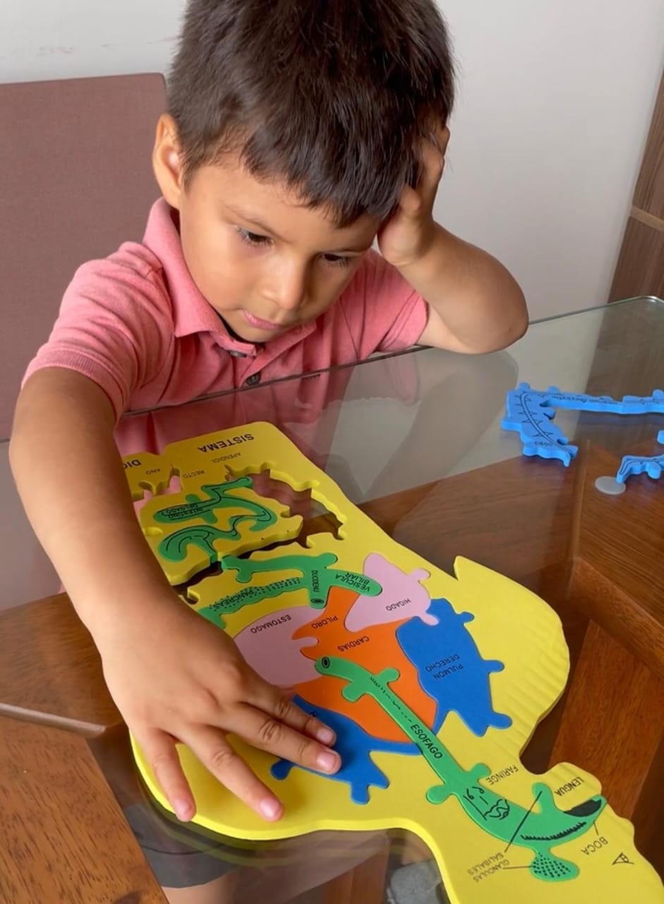 Pack educativo